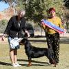 Alice Springs Kennel & Dog Sports Club 2022 Intermediate In Show - Mrs S Tassan (QLD)