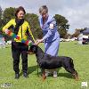 Murray Valley Kennel Club 2022 Intermediate In Group - Mrs L Brand (NSW)