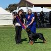 Canine Fancier Kennel Club 2023 Best In Group - Mrs M Hammond (Qld)