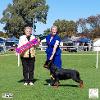 Canine Fancier Kennel Club 2023 Best In Show - Mrs J Ireland (Qld)